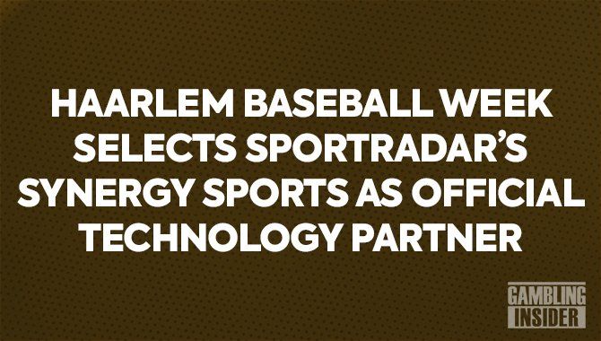 Sportradar becomes Haarlem Baseball Week   s Official Technology Partner